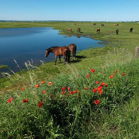 Ostsee Residenz Meeresblick Bellevue Insel Poel Εξωτερικό φωτογραφία