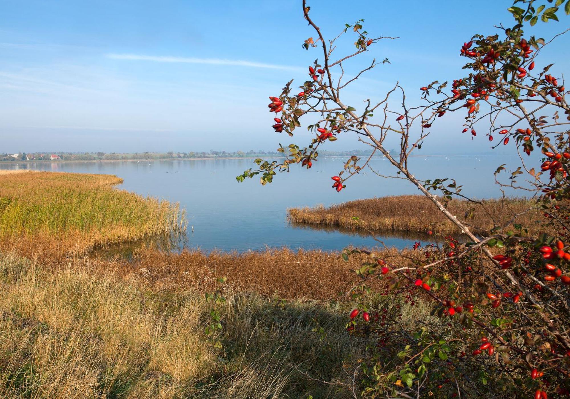 Ostsee Residenz Meeresblick Bellevue Insel Poel Εξωτερικό φωτογραφία